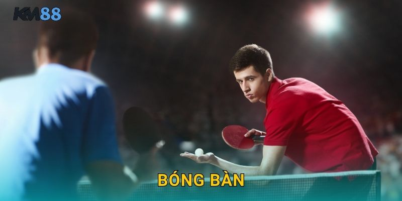 Bóng Bàn Km88 – Cược Ping Pong Tốc Độ Cao